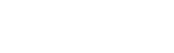 Logo_pillan02